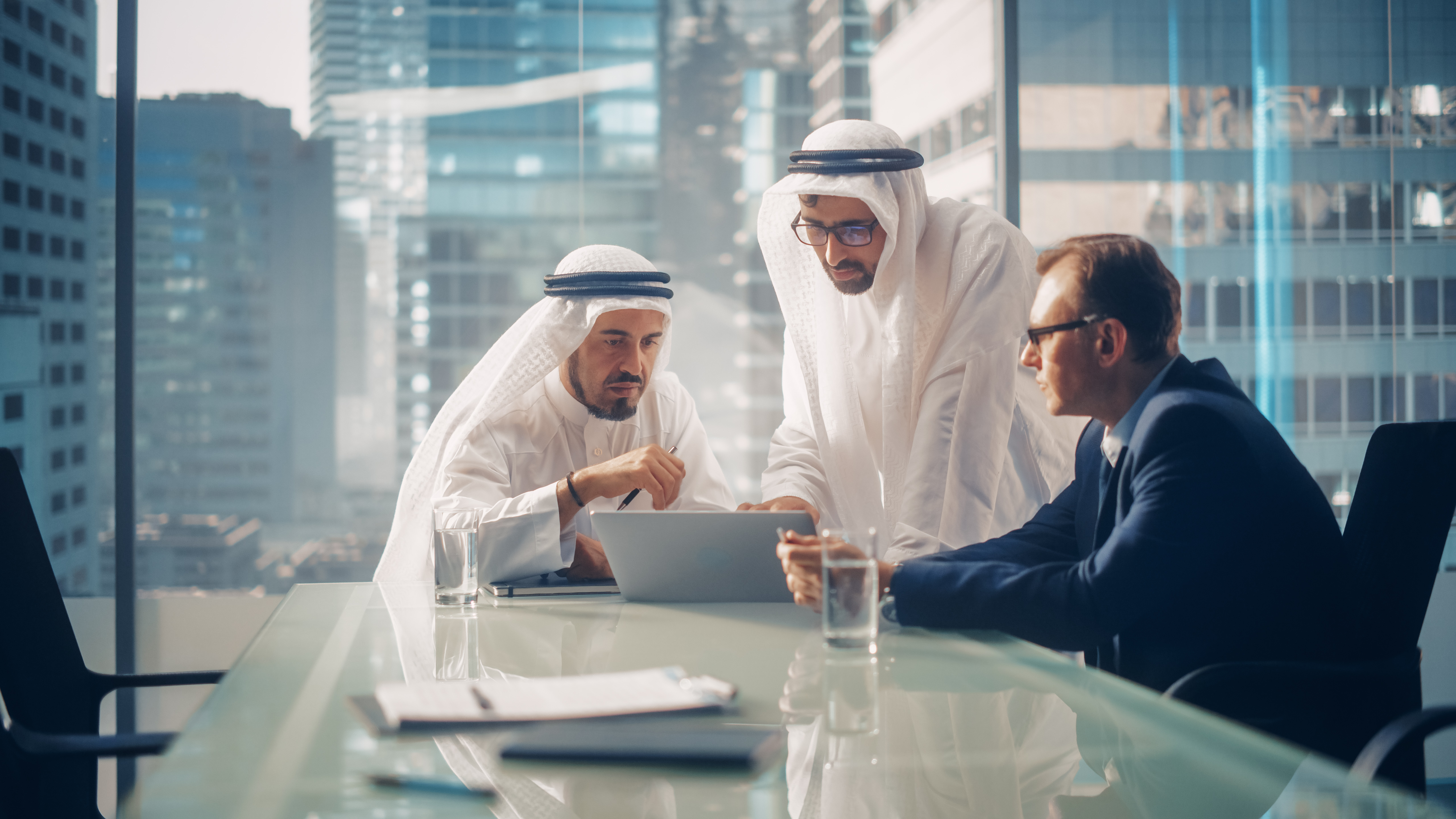 HMC advisory consultation
