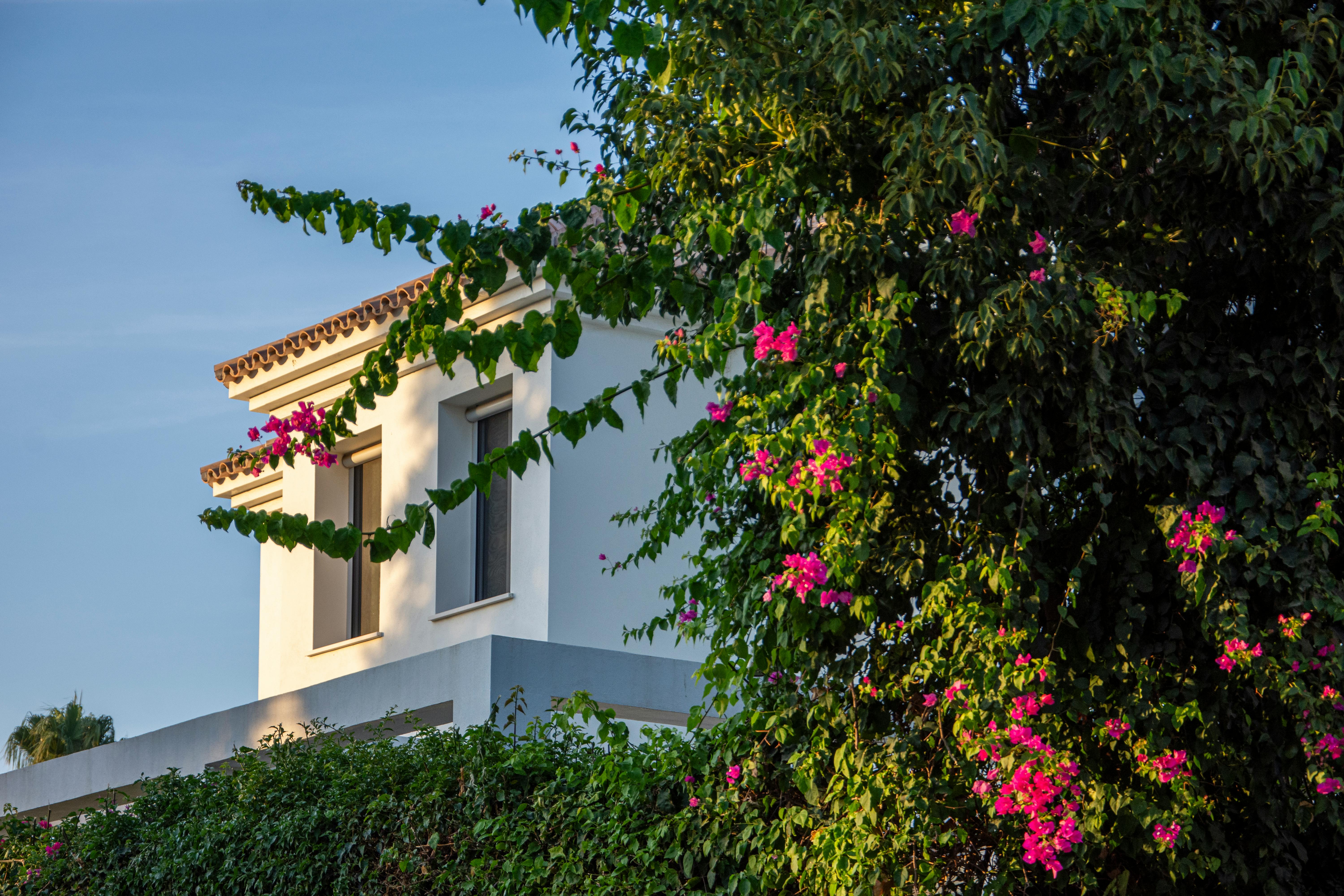 Luxury villa representing managed residential leasing stock