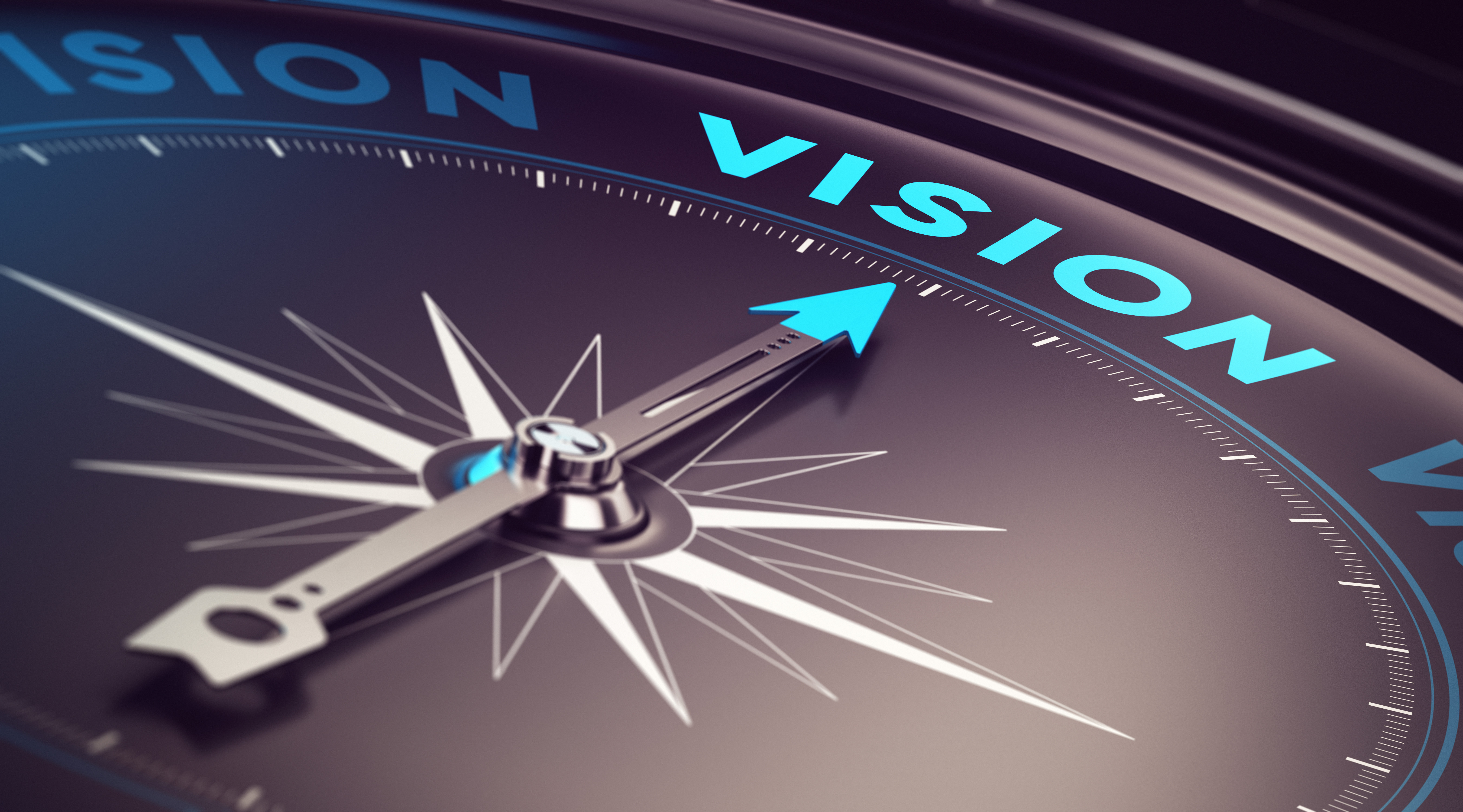 Compass-style graphic representing strategic direction